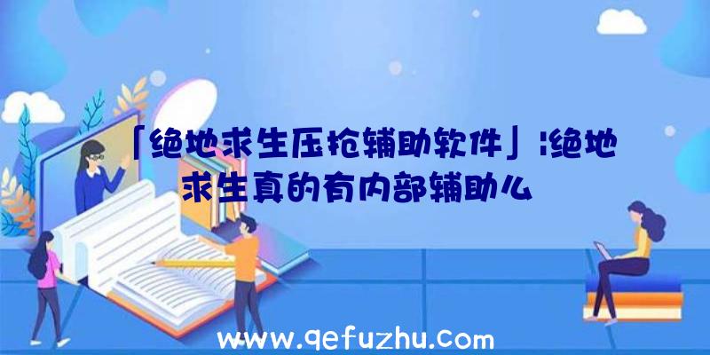 「绝地求生压抢辅助软件」|绝地求生真的有内部辅助么